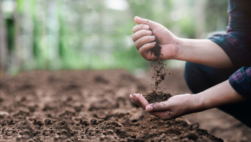 two hands sifting through garden dirt
