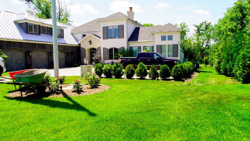Green lawn
