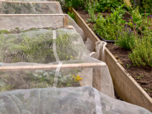 garden row covers