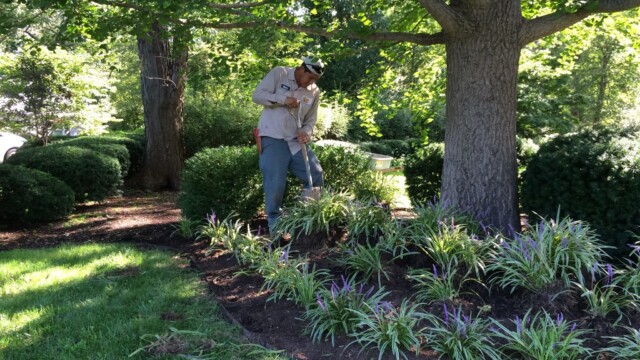 Hostmann Lanscaping Expert