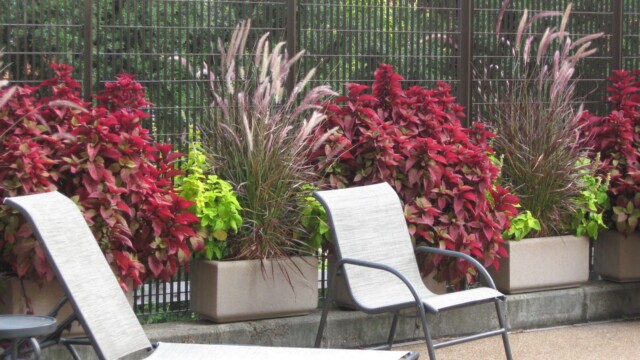 commercial landscaping-9-25-09 007