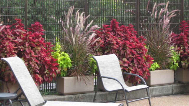 commercial landscaping-9-25-09 007