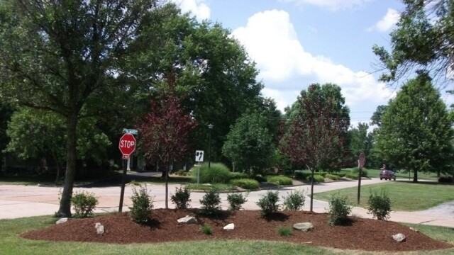 Landscaping_DSCF0627