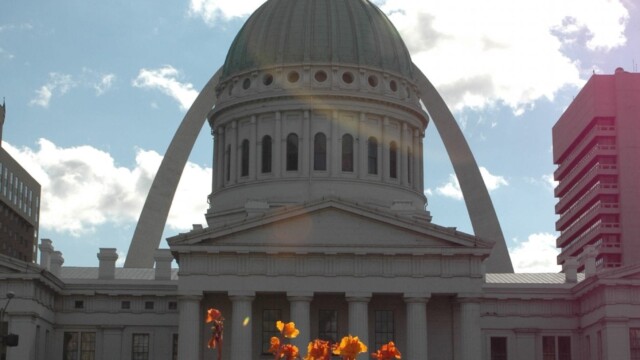 Commercial_Gardening