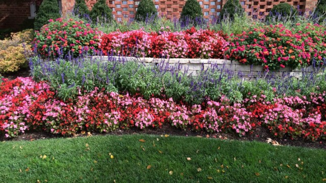 Garden Care - Main Page