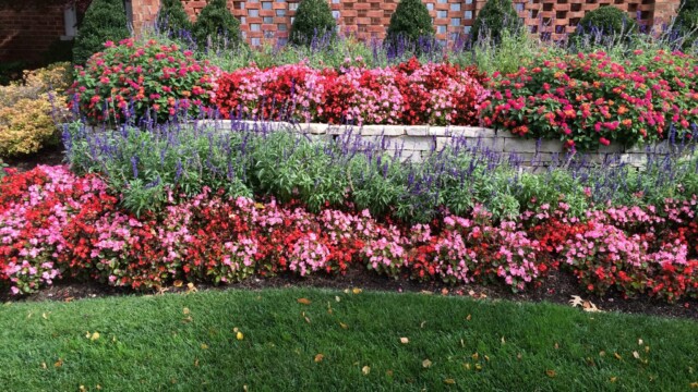 Garden Care - Main Page