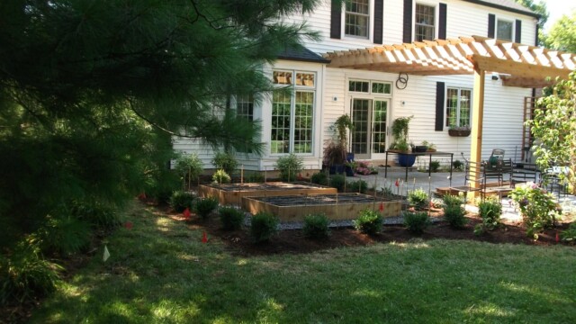 Garden after Planting 6-25-10 007