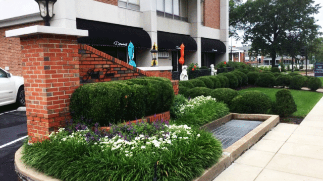 commercial landscaping-IMG_5163