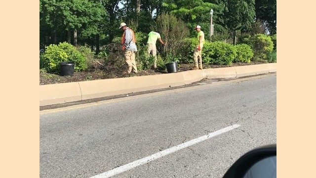 Stone and hardscaping_IMG_5503