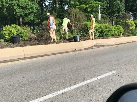 Stone and hardscaping_IMG_5503