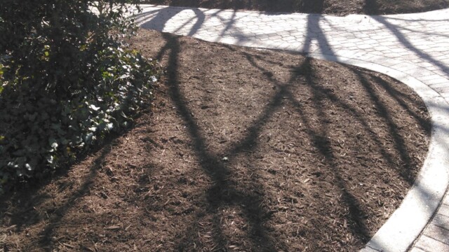 Spring Mulching Spring Mulching