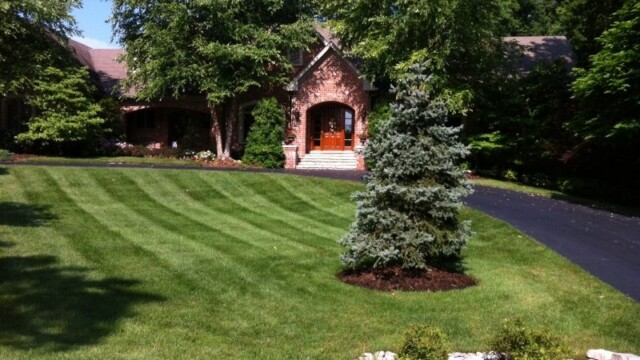 Landscape and Mowing